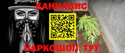 прущие крисы Малгобек